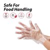 Kleen Chef Poly Disposable Gloves, High Density Polyethylene, Powder-Free, M, 525 PK, Clear BL-KCFS-ES-HDPE-CLDG-01-M